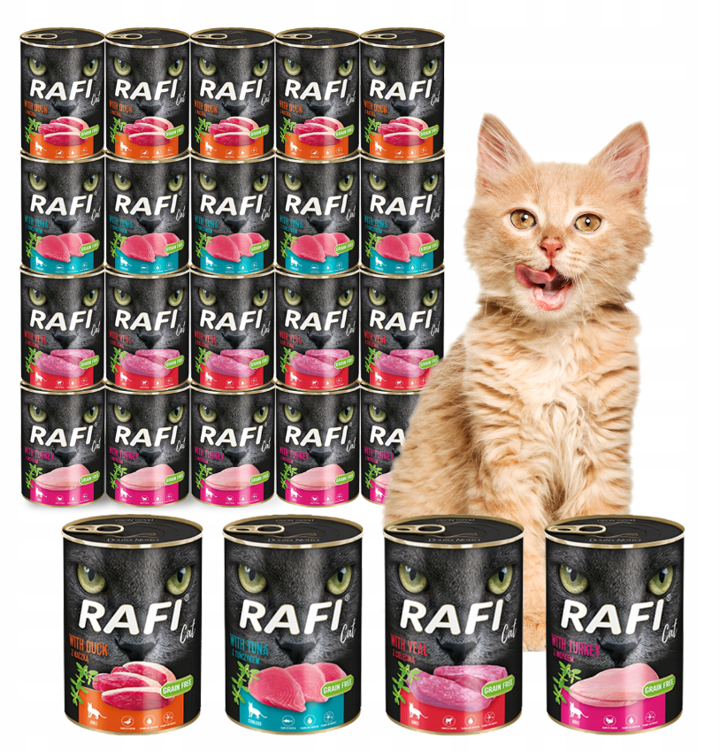 Rafi Dolina Noteci Mix Smaków 24X400G
