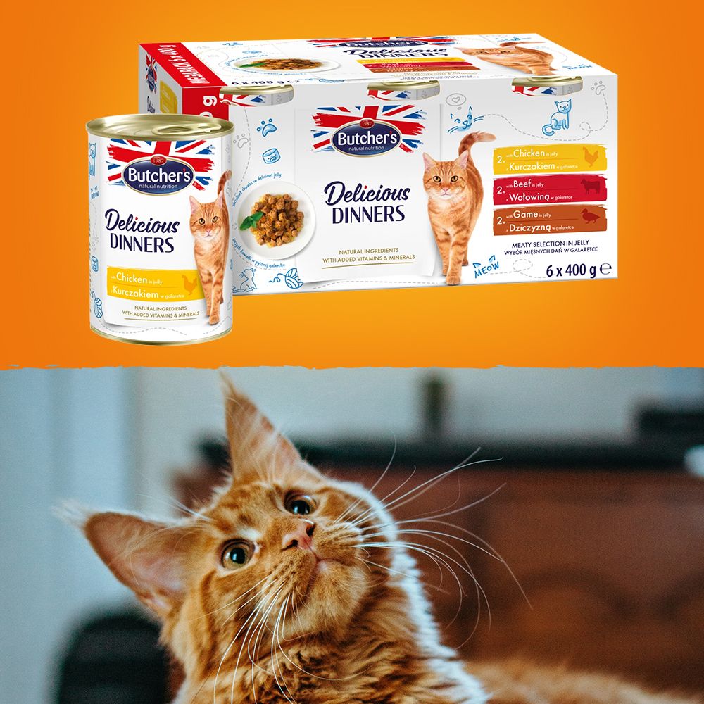 Butcher's kot Delicious Dinners Megapack zdj lifestyle