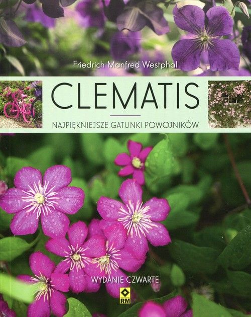 Clematis. Najpiękniejsze gatunki powojników