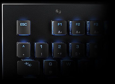 roccat