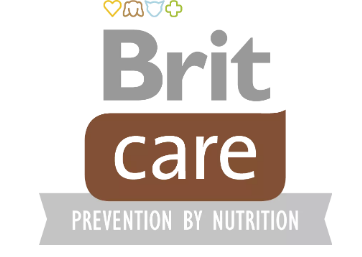 Brit care logo