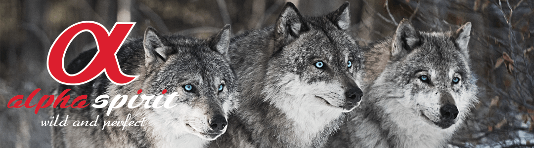 Primal Spirit