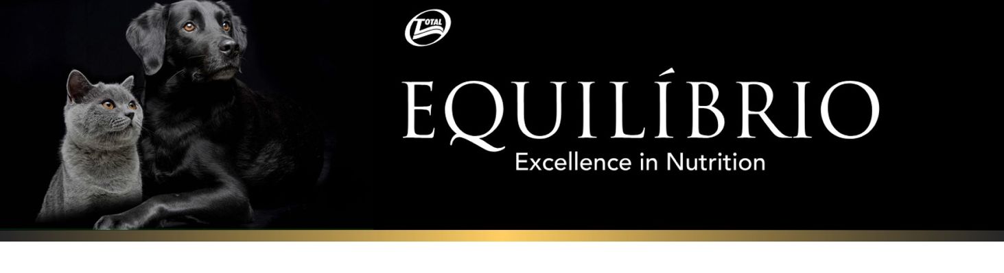 Equilibrio Banner główny