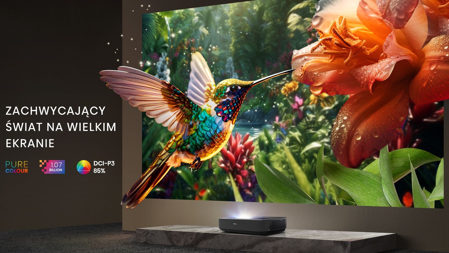 Hisense Ture-Colour-