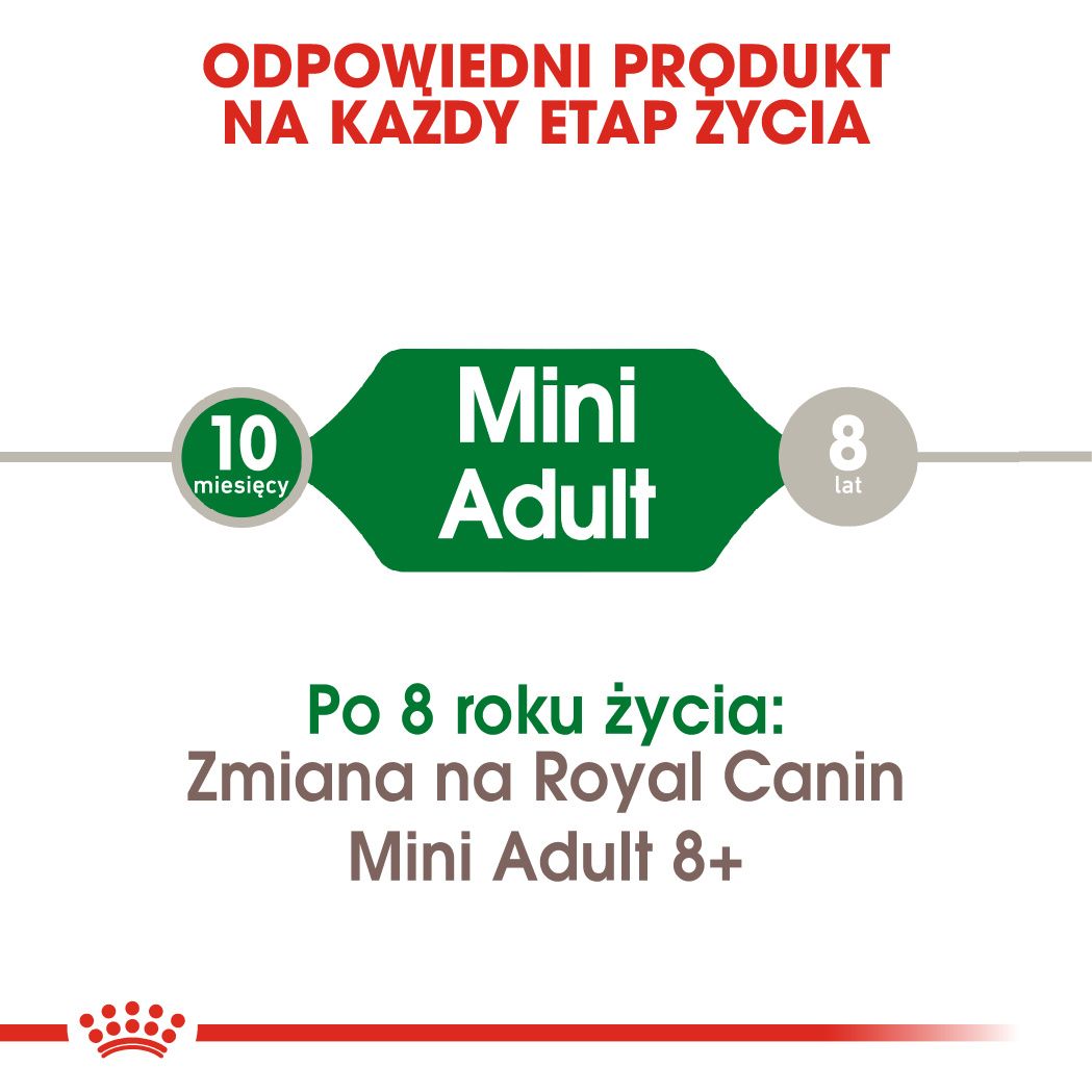 Royal Canin Mini Adult-4