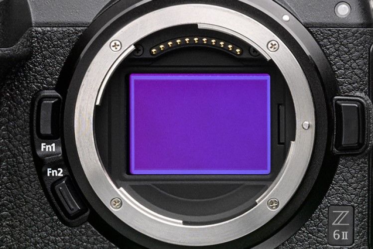 Nikon