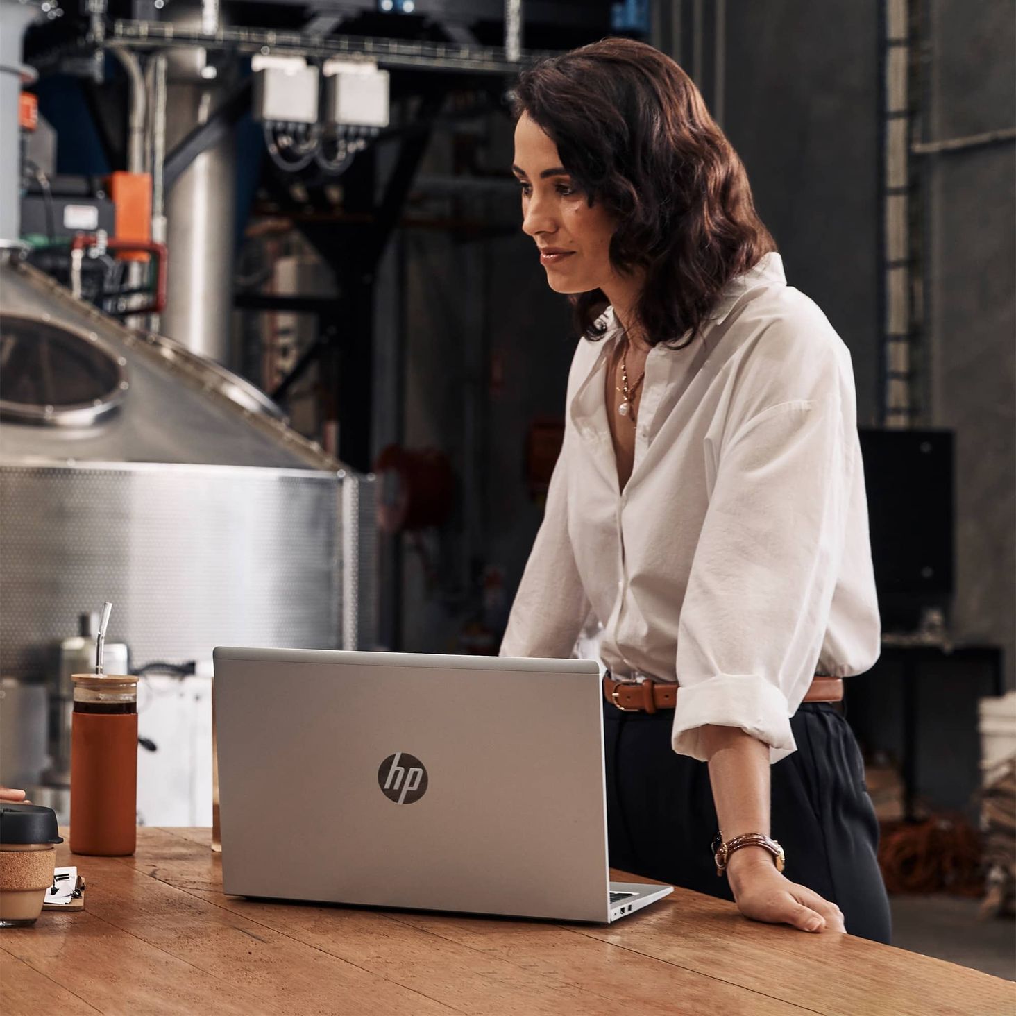 HP ProBook 450 G10 - 2
