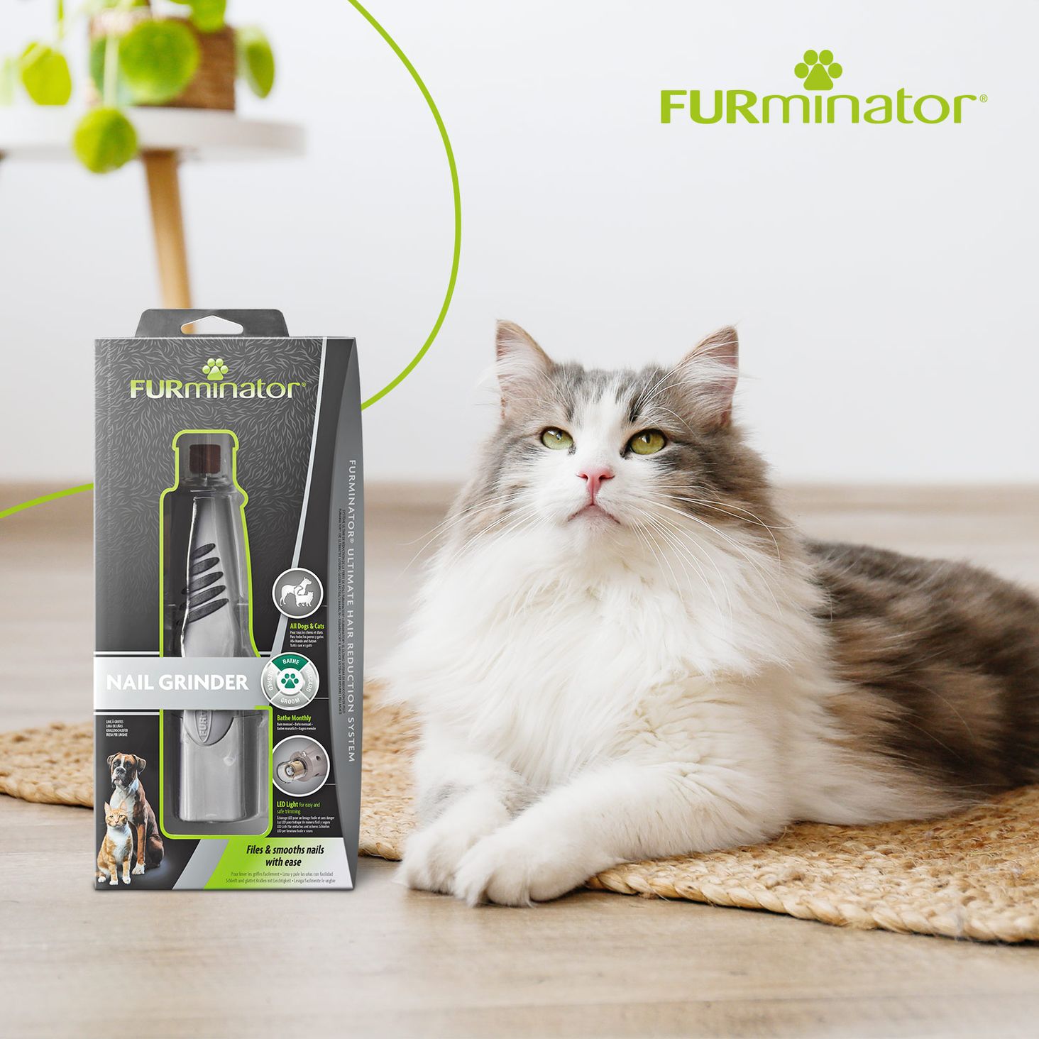 FURminator zdjęcie 6