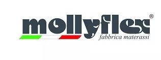 mollyflex logo