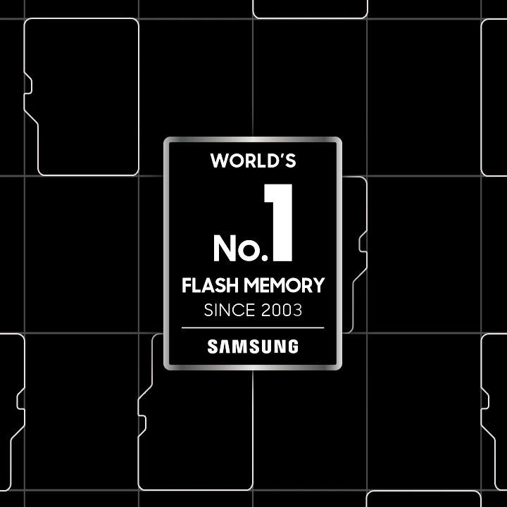 Samsung PRO Endurance microSDXC
