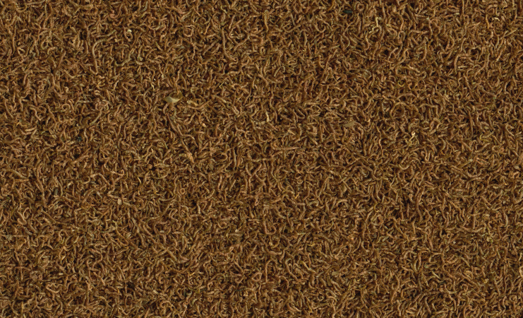 Tetra Delica Bloodworms-zdjęcie 3