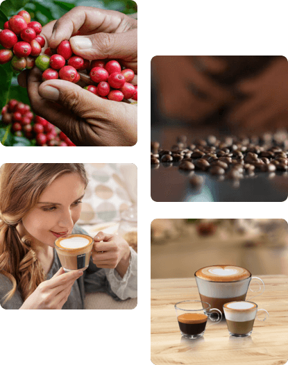 Lavazza