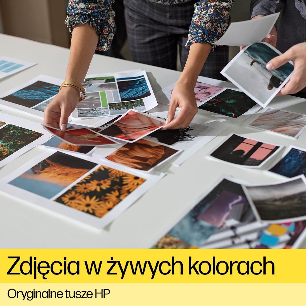 Zdjęcia w żywych kolorach