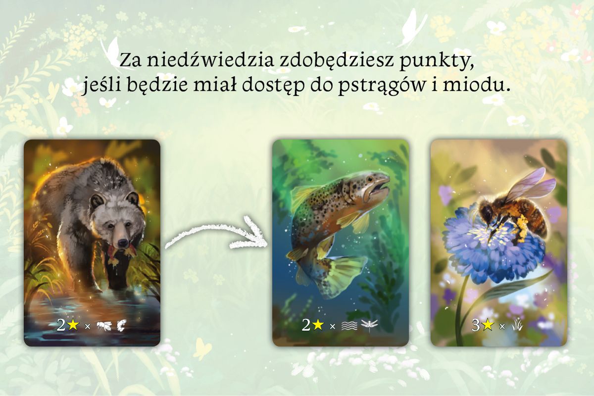 Nasza Księgarnia Ekosystem