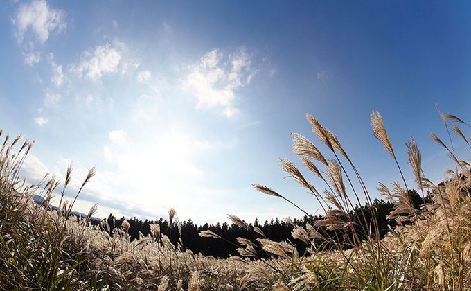 SAMYANG 8mm f/3.5 UMC Fish-Eye CS II Canon EF