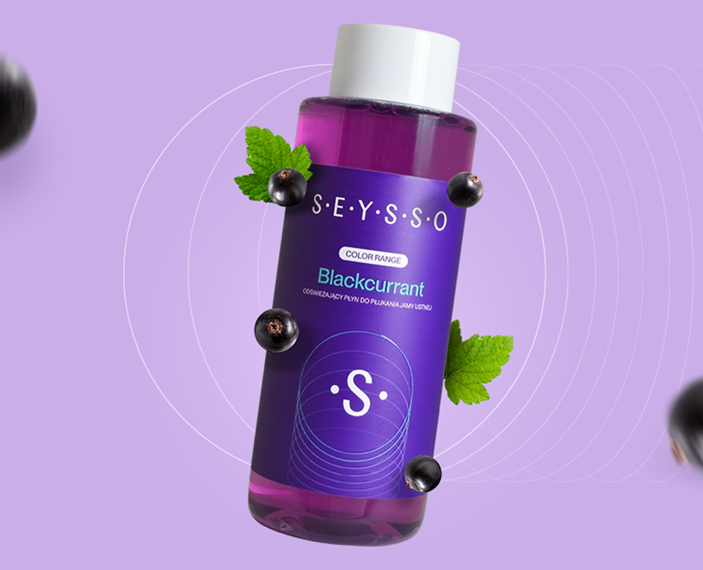 SEYSSO Color Blackcurrant