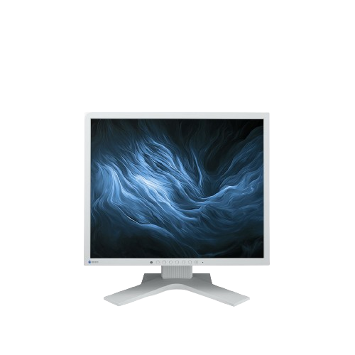 Eizo FlexScan S2134 szary