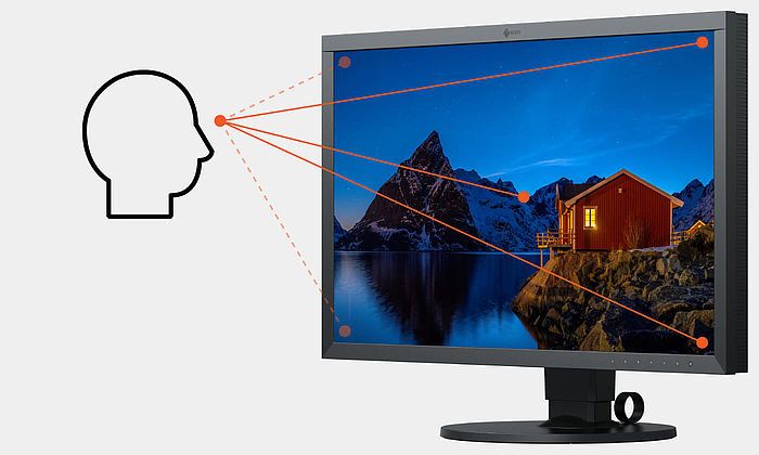EIZO ColorEdge IPS