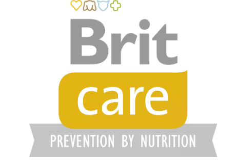 Brit care logo