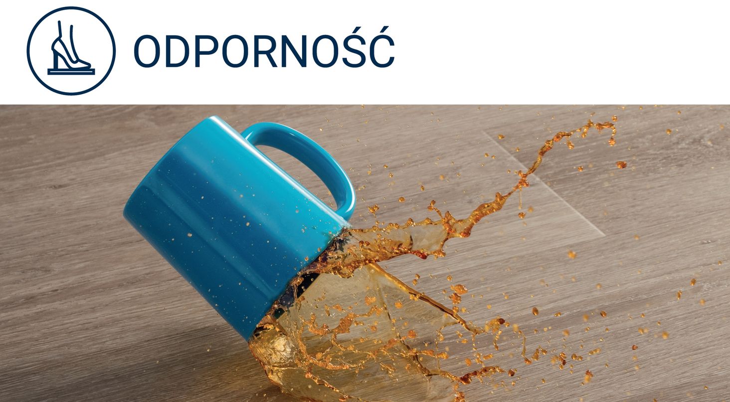 Acer odporność