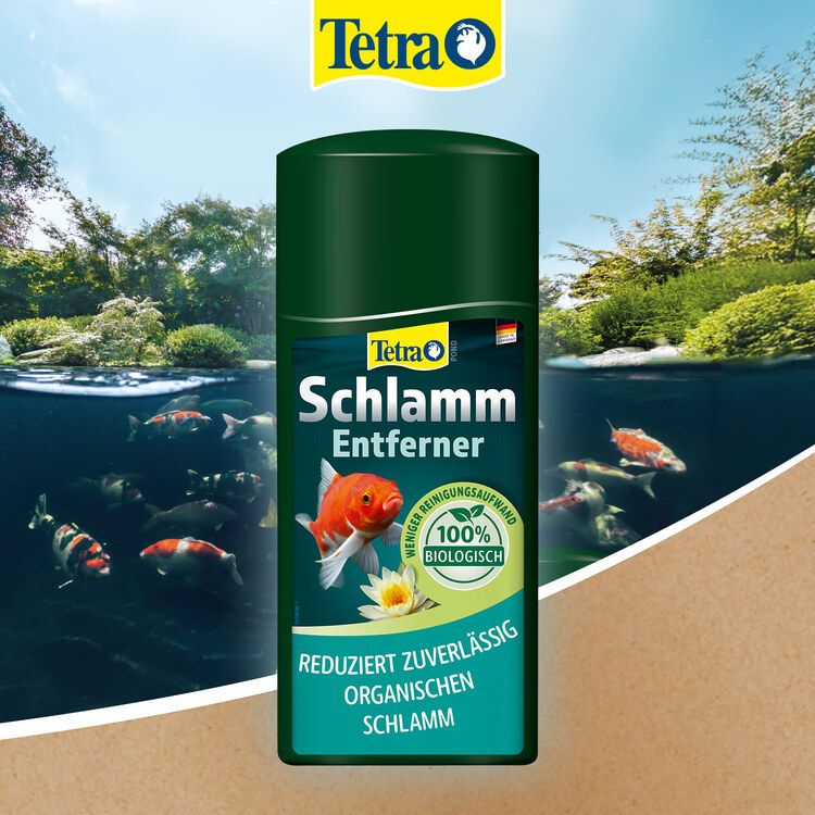 Tetra Charakterystyka karmy-1