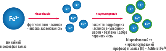infografika