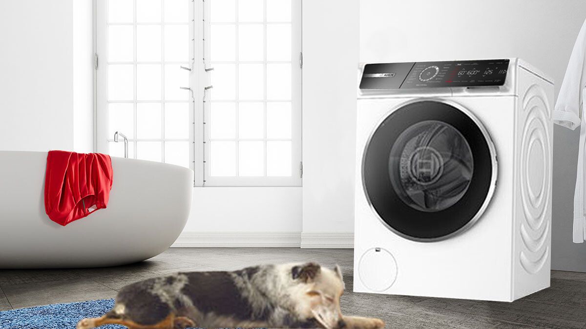 Serie 6 WGH24409PL EcoSilence Drive™