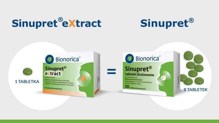 Sinupret Extract 20 tabletek Grafika