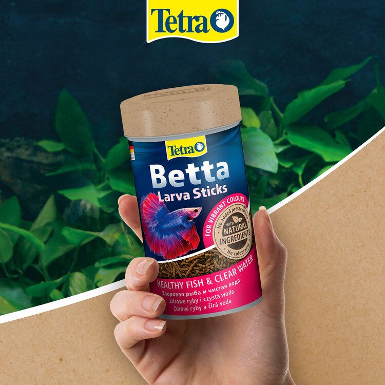 Tetra dawkowanie - 3