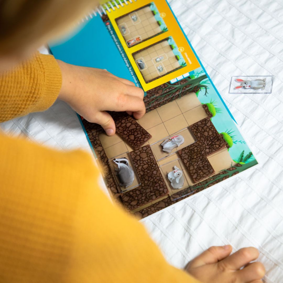 smart games