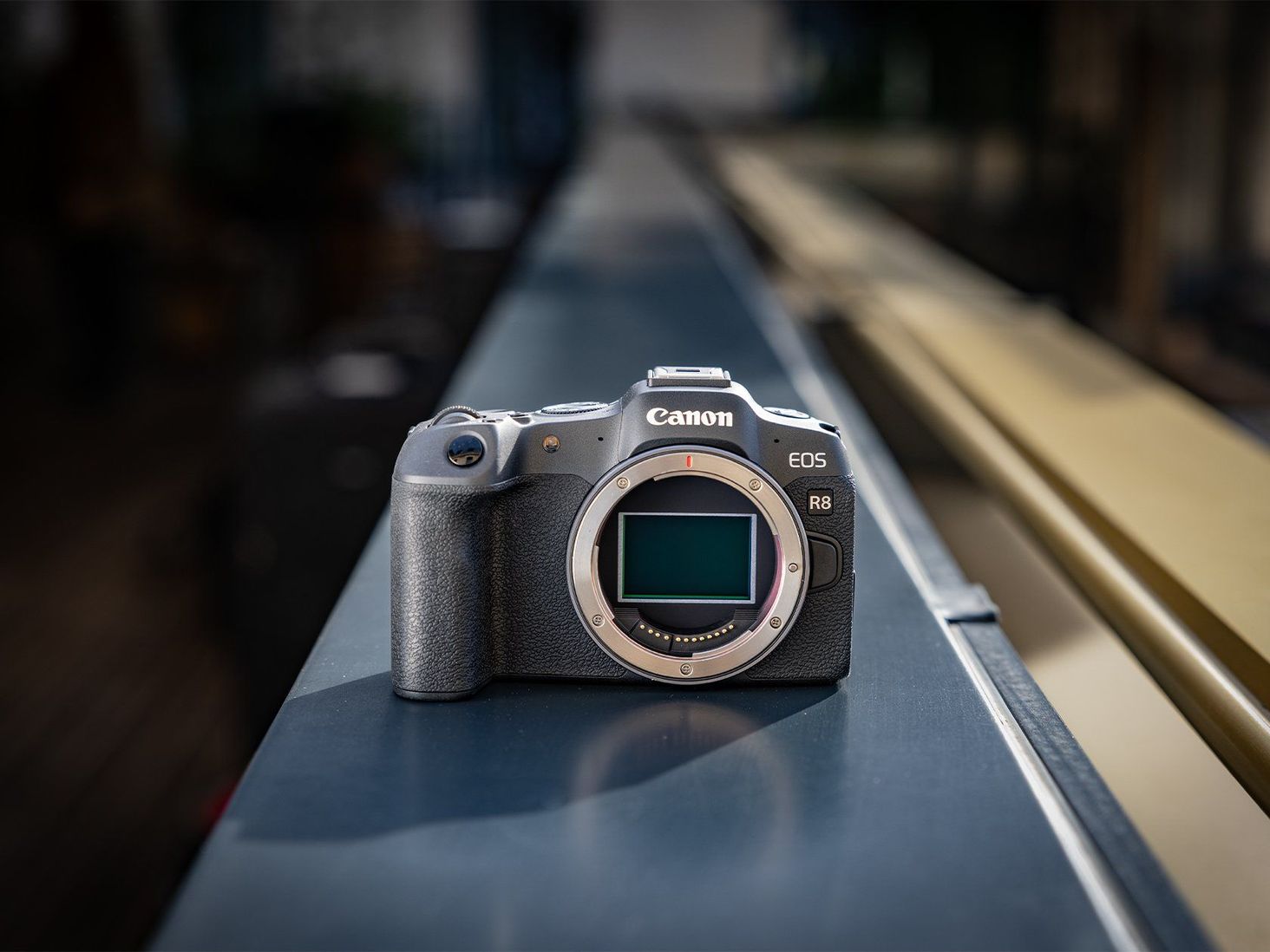 Canon EOS r8 lifestyle3