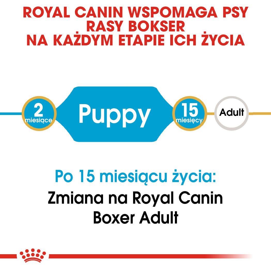 Royal Canin Boxer Puppy-4