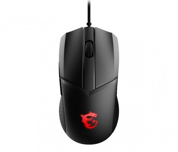mysz