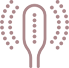 SEYSSO Color Basic - ikona główka szczoteczki