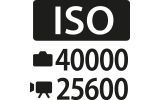 ISO ikona