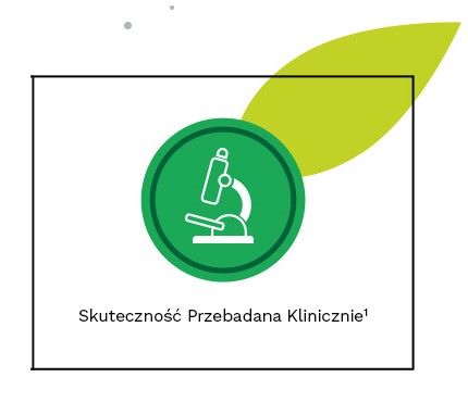 Iberogast - skuteczność przebadana klinicznie