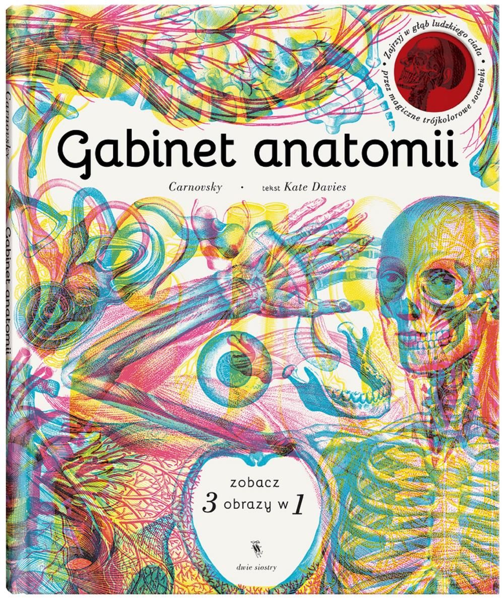 gabinet anatomii