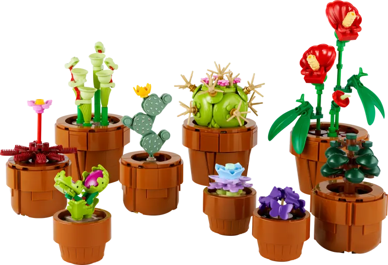 LEGO Icons 10329 - 2