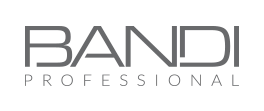 Bandi