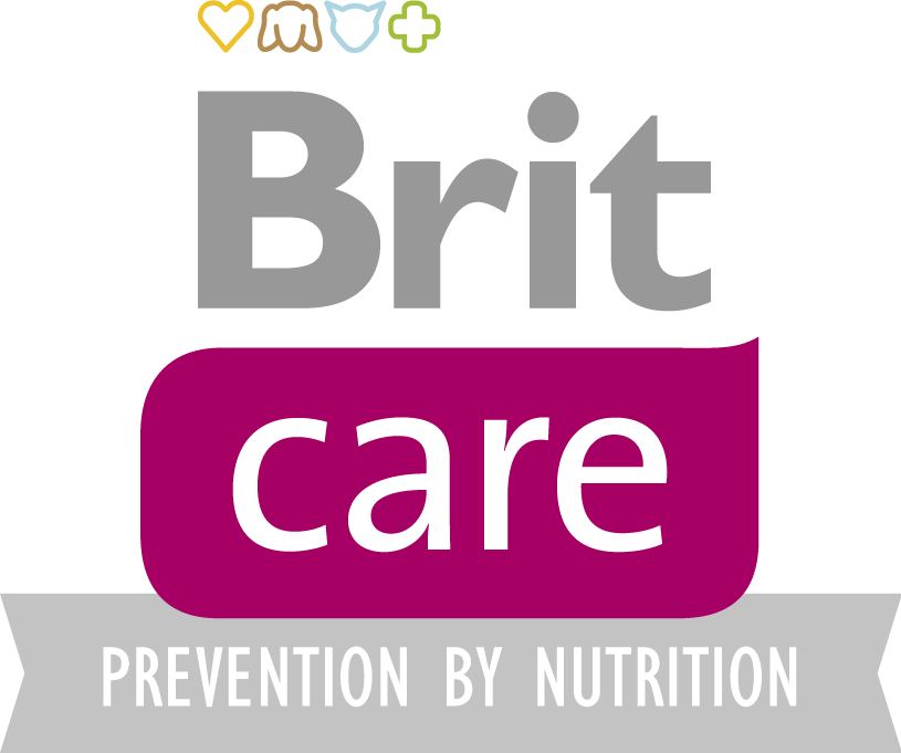 Brit care logo