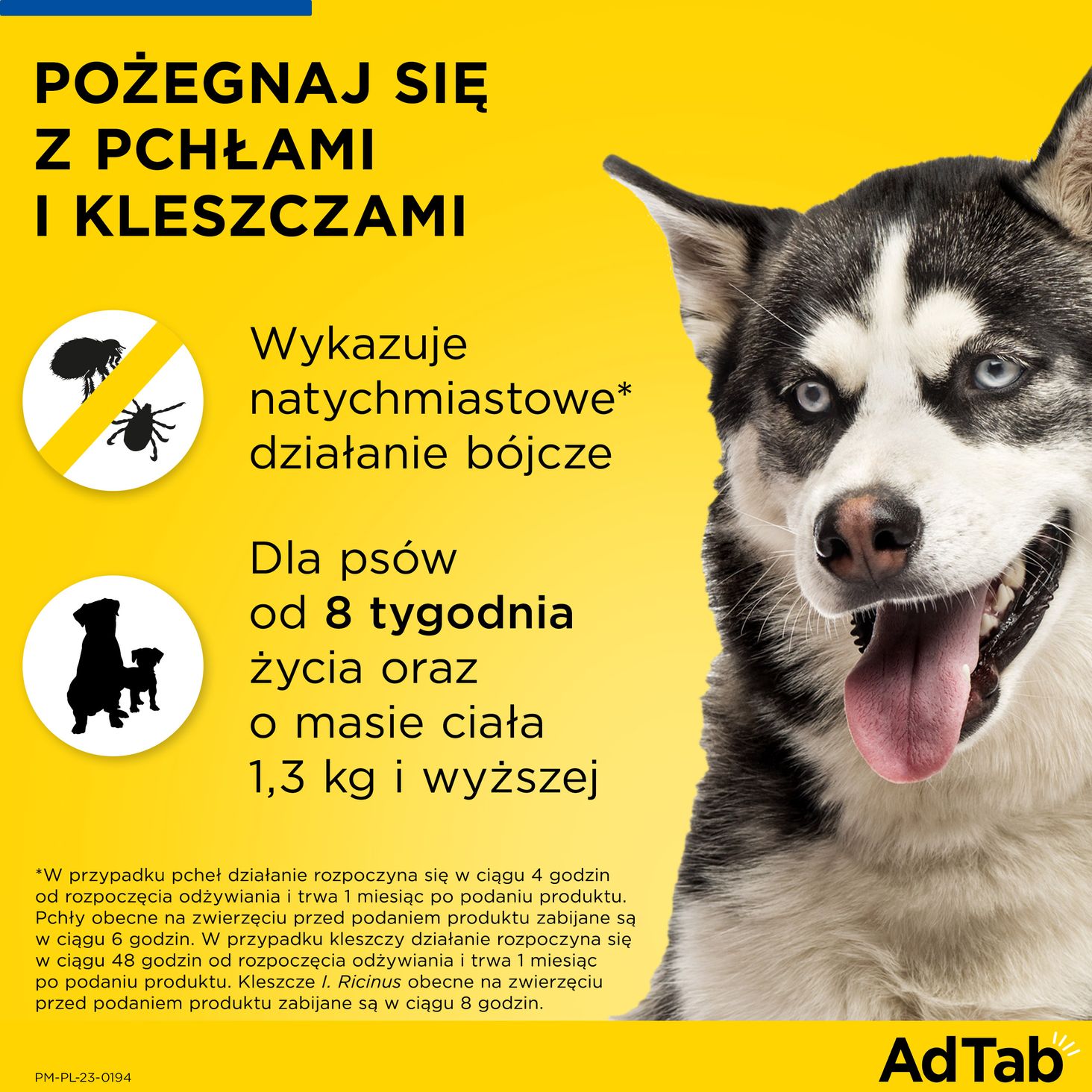 Elanco AdTab Dog 2,5-5,5kg - dla psów od 8 tygodnia