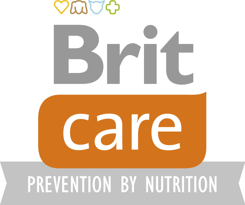 Brit care logo