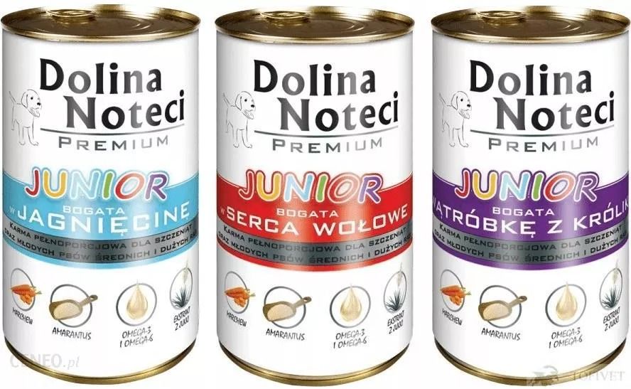 Dolina Noteci Junior-2