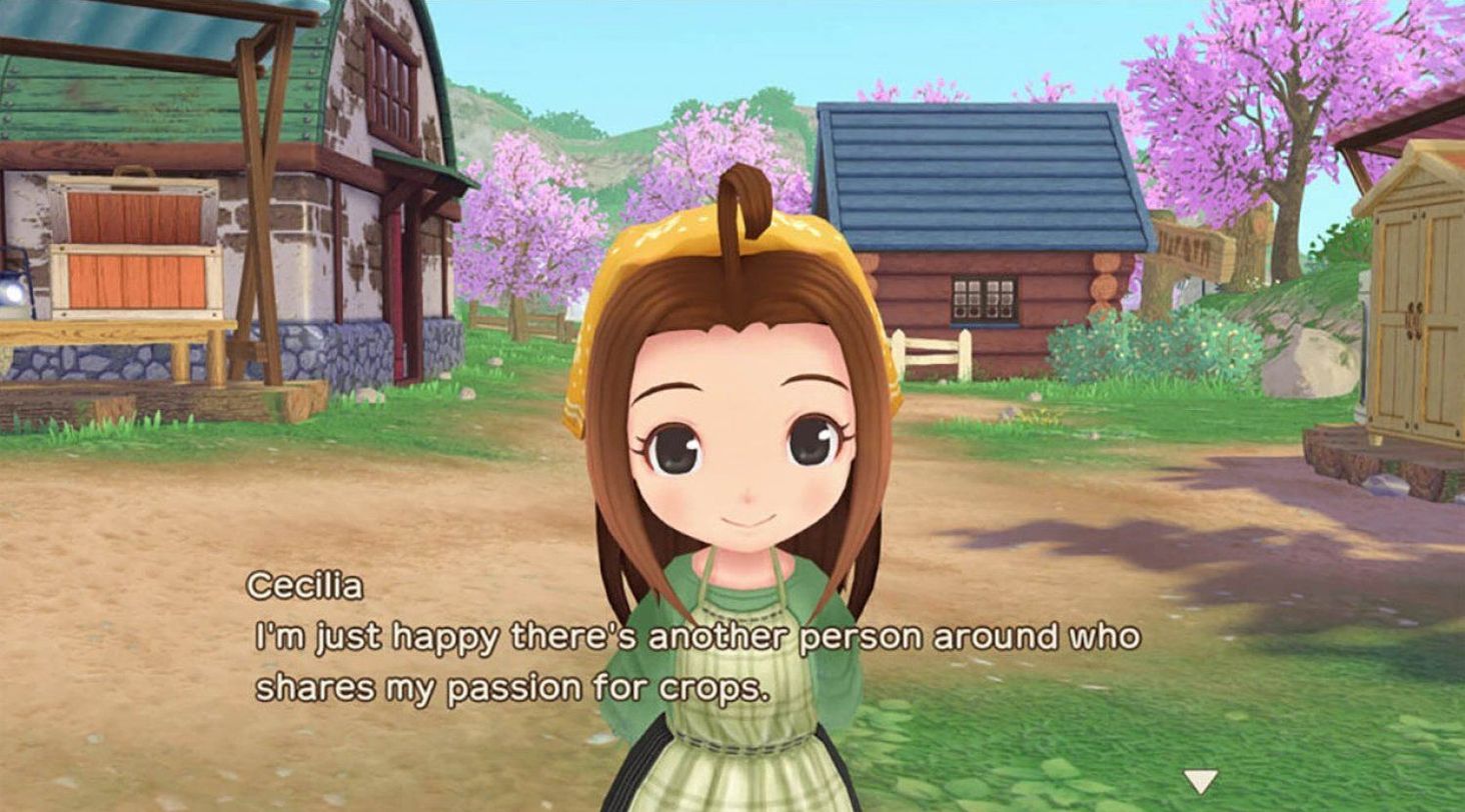 Story of Seasons A Wonderful Life 1