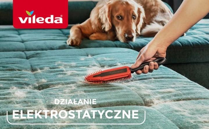 Vileda Grafika główna 2