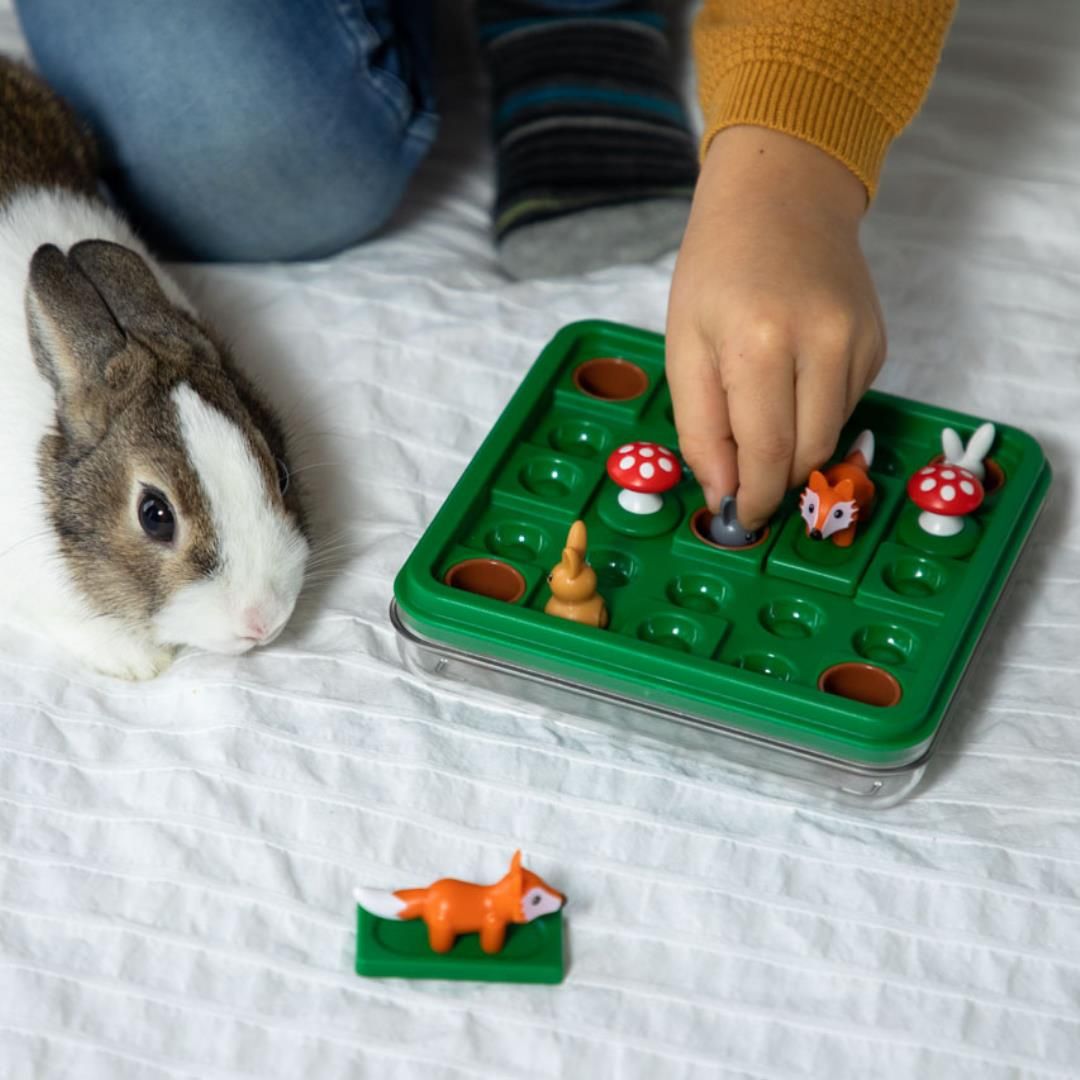 smart games