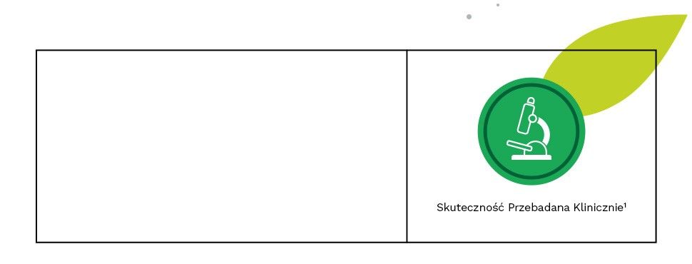 Iberogast - skuteczność przebadana klinicznie