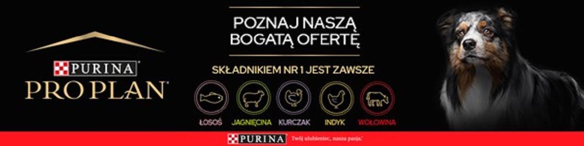 proplan dolny banner