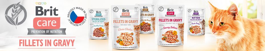 Brit Care Cat baner saszetki