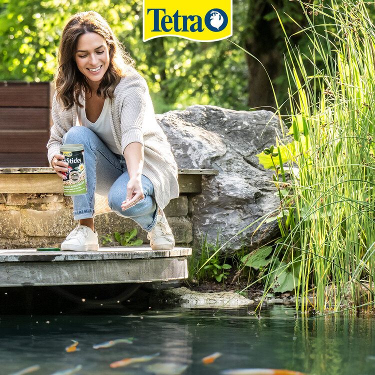 Tetra dawkowanie - 3
